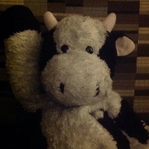 Meet your Posher, Moo cow